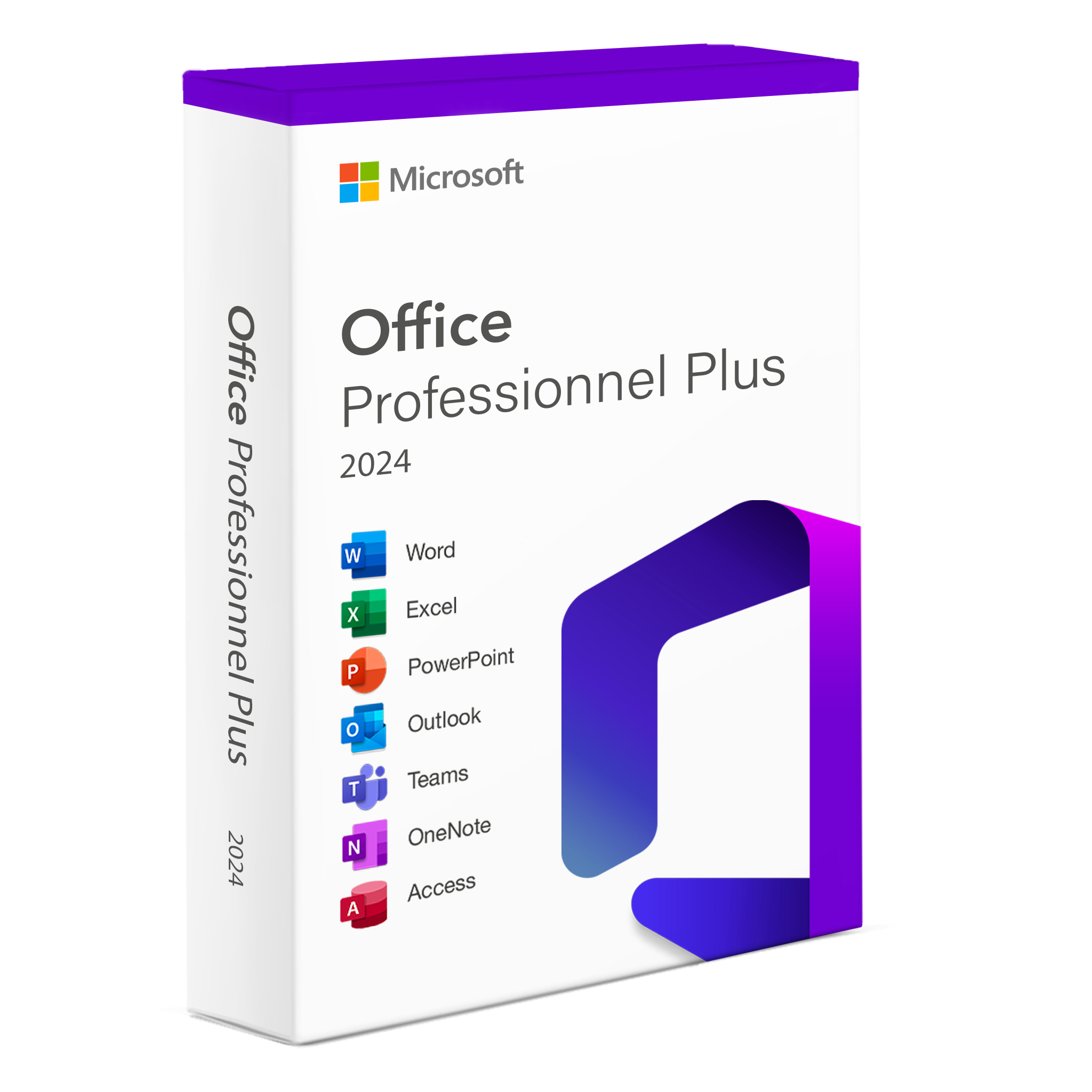 Microsoft Office 2024 Professional Plus