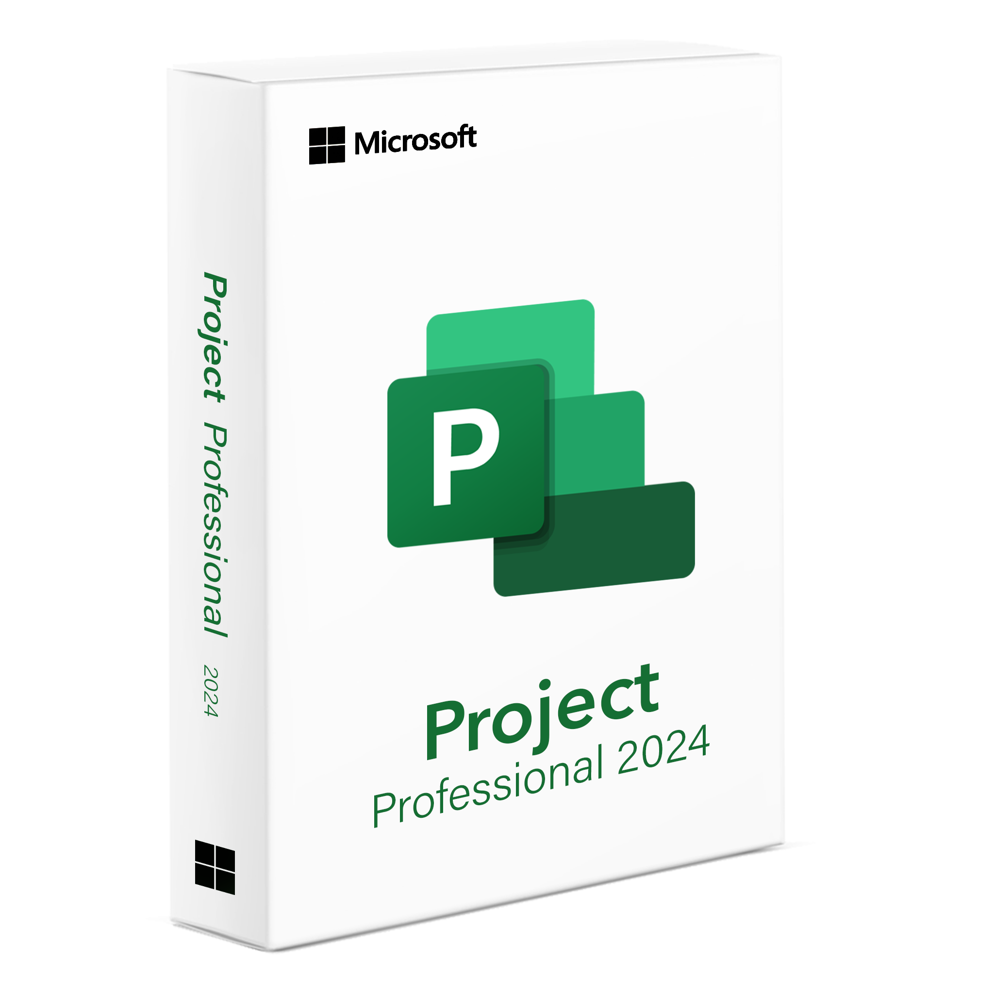 Project 2024 Professional
