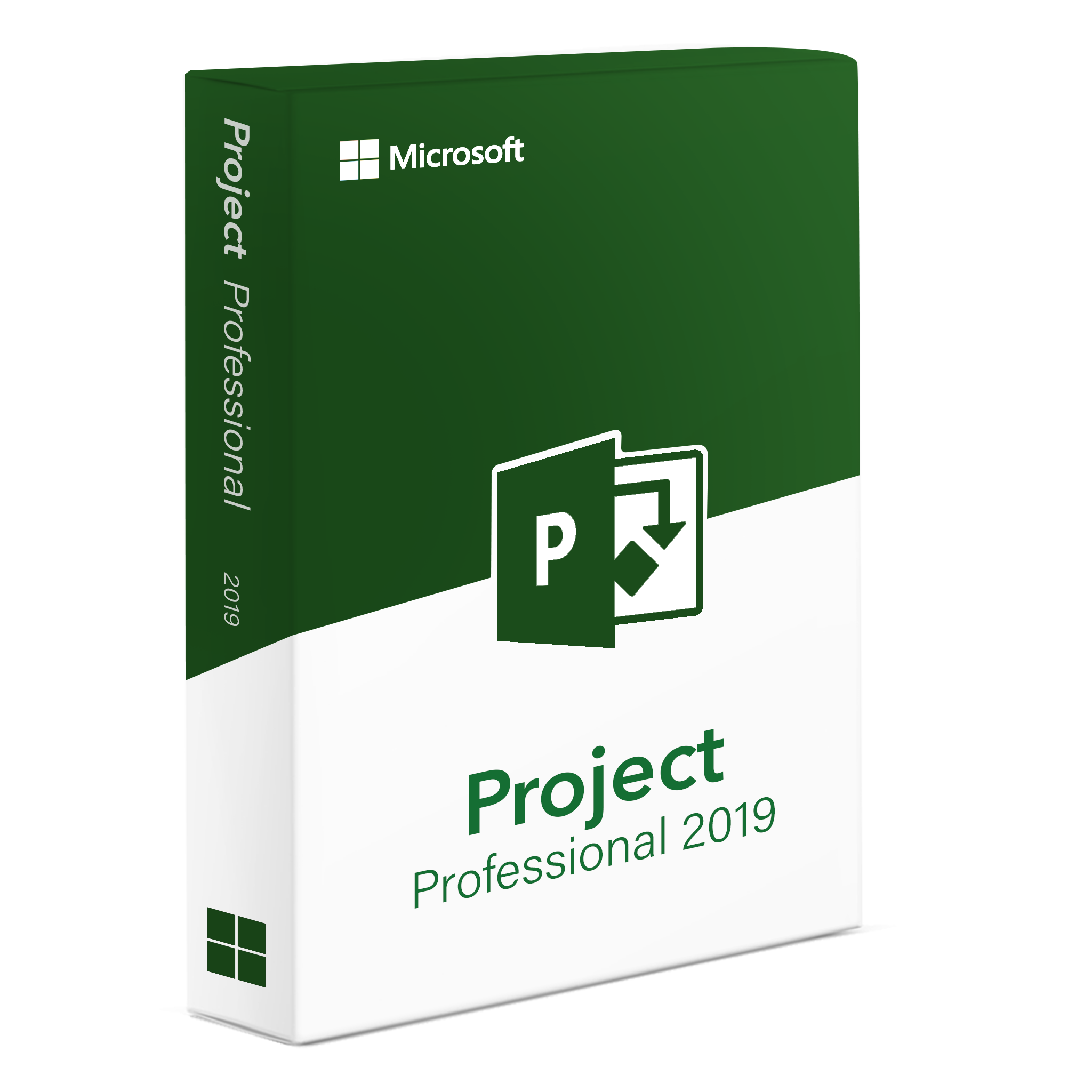 Project 2019 Professional