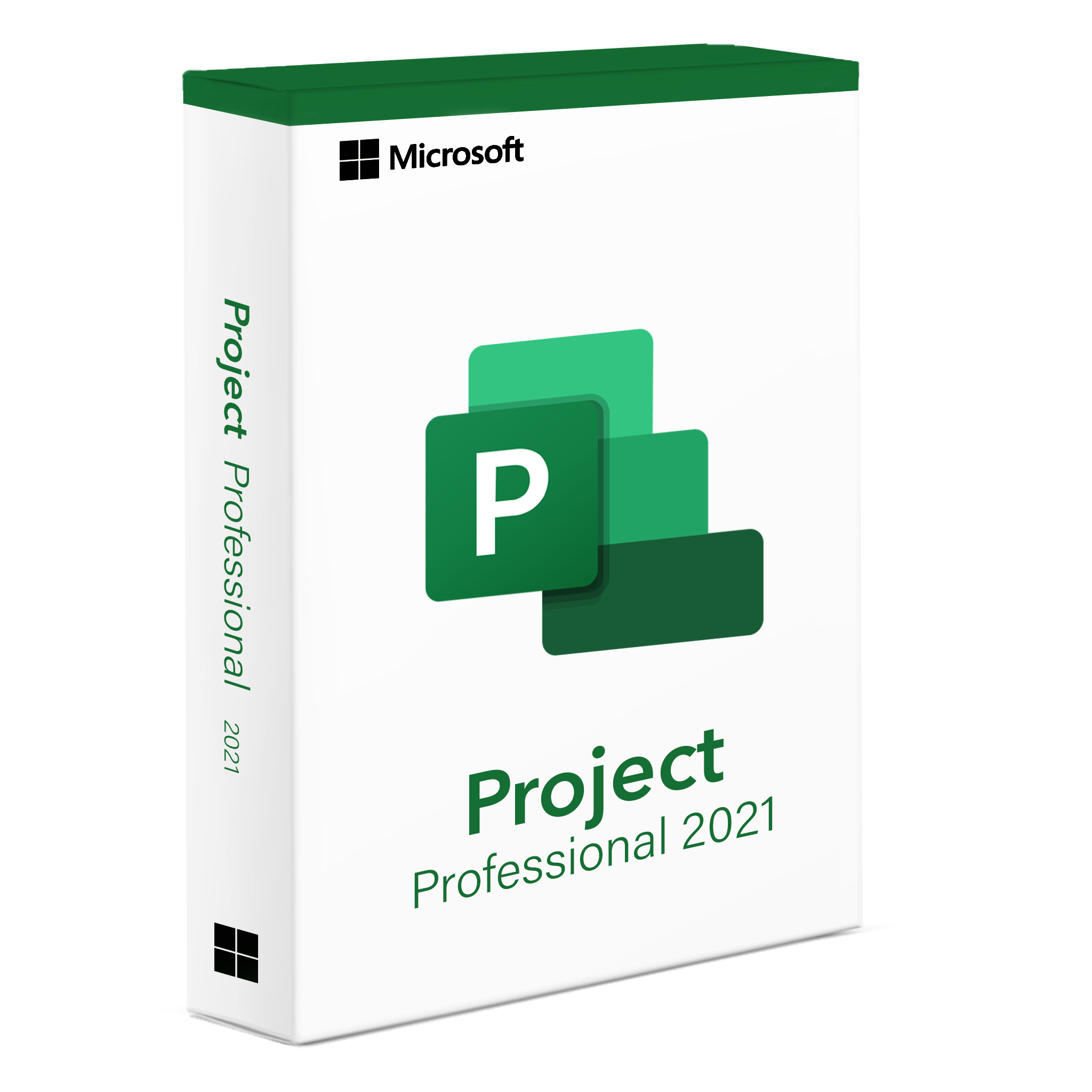 Project 2021 Professional